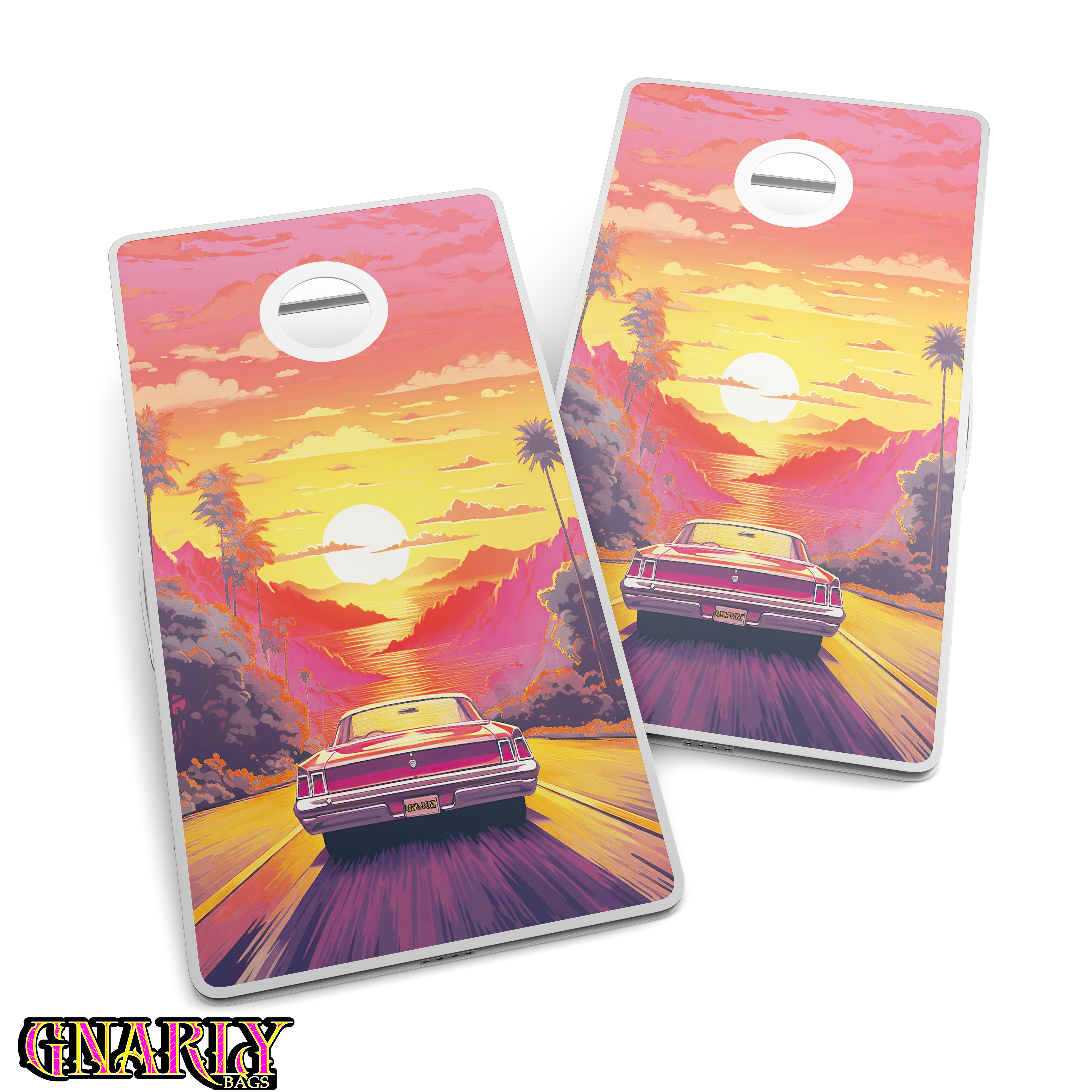 Gnarly Boards Cruzin