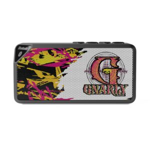 Jabba Bluetooth Speaker — Colorful Graffiti Portable Speaker with 'Gnarly' Logo